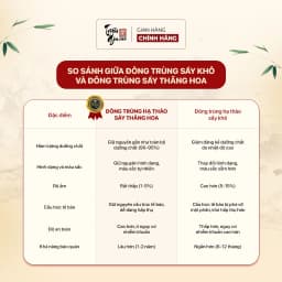 Thumbnail Đông trùng hạ thảo tự nhiên sấy thăng hoa Triệu Gia tăng cường sức khỏe cải thiện lão hóa sợi gãy - Lọ 35gr, 50gr. 3