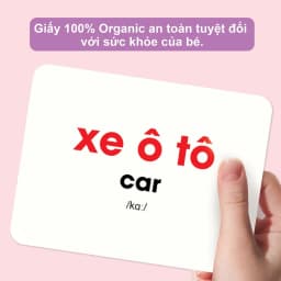Thumbnail Flashcard - Bộ 200 thẻ học thông minh song ngữ Glenn Doman Thế Giới Xung Quanh 4