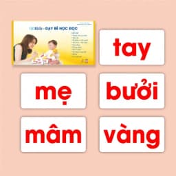 Thumbnail Flashcard - Combo kết hợp bộ thẻ Theo Phương Pháp Glenn Doman (Hộp 459 thẻ) 3