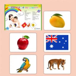 Thumbnail Flashcard - Combo kết hợp bộ thẻ Theo Phương Pháp Glenn Doman (Hộp 459 thẻ) 4