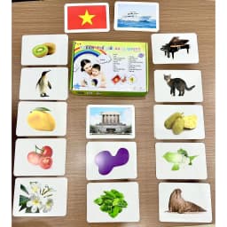 Thumbnail Flashcard Dạy Trẻ Thế Giới Xung Quanh Chuẩn Glenn Doman - Bộ 300 Thẻ Học Thông Minh Cho Bé 2