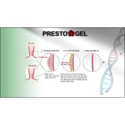 Thumbnail Gel Bôi trĩ Presto nhập khẩu Danpharm- Israel, tuýp 25g 4