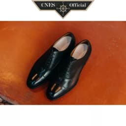 Thumbnail Giày Da Nam Oxford Gồm Hai Màu Chất Liệu Da Bê Nhâp Khẩu Thương Hiệu CNES (TL 1701 G) 1