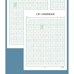 Thumbnail Giấy luyện viết 2500 chữ Hán từ cơ bản tới nâng cao ( kèm bút phai màu sau 5 phút viết ) 2