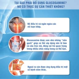 Thumbnail Glucosamine HCL và MSM Kirkland Signature hỗ trợ xương khớp 375v và glucosamine 1500mg blackmores 4