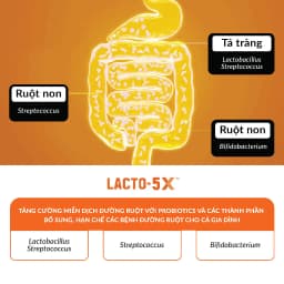 Thumbnail Gói Lẻ Men Vi Sinh LACTO-FIT GOLD - Cải Thiện Tiêu Hoá Cho Cả Gia Đình (1 gói x 2g) 4