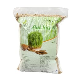 Thumbnail Hạt giống cỏ lúa mì Viet Healthy 1kg 3