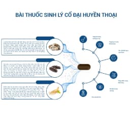 Thumbnail HOBN-2 Hộp Tăng chất lượng số lượng tinh trùng- Hàu Biển Ob New GrowGreenAz, Oyster Plus, Tăng Thời Gian QH [Chính Hãng] 3