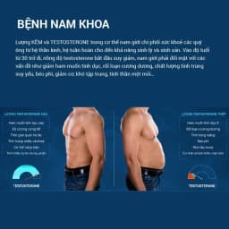 Thumbnail HOBN-2 Hộp Tăng chất lượng số lượng tinh trùng- Hàu Biển Ob New GrowGreenAz, Oyster Plus, Tăng Thời Gian QH [Chính Hãng] 4