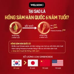Thumbnail Hồng Sâm Hàn Quốc Đông Trùng Hạ Thảo Tăng Cường Sức Khỏe Welson Red Ginseng 30 Viên 3