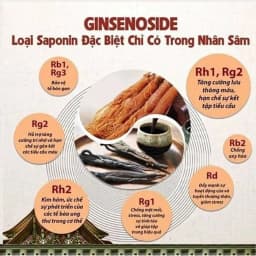 Thumbnail Hồng Sâm Hữu Cơ Cải Thiện Sức Khỏe KJH Dạng Stick - Sâm Hàn Quốc  Dành Cho Người Trưởng Thành 4