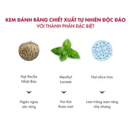 Thumbnail Kem Đánh Răng Cho Hơi Thở Thơm Mát SPLAT Love Special series Vị Quả Mâm Xôi, Làm Sạch Mảng Bám 75ml 3