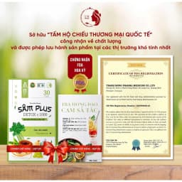Thumbnail Kẹo Giảm Cân Sâm Plus Detox X1000 TM Pharma Giảm Mỡ Sinh Học Thanh Nhiệt Hộp 30 Viên 3