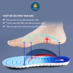 Thumbnail Lót Giày Thể Thao Nam Nữ, Đế Lót Giày Cao Cấp - buybox - BBPK364 2