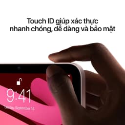 Thumbnail Máy tính bảng Apple iPad mini 6 8.3-inch Wi-Fi 64GB 3