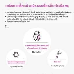 Thumbnail Men vi sinh LACTO-FIT Moms Dành Cho Phụ Nữ Mang Thai Và Cho Con Bú (2g X 60 gói) 4