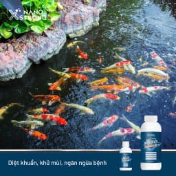 Thumbnail Nano bạc (nano silver) Nano Xstrong - xử lý nấm cho cá cảnh, làm trong nước bể cá, ao nuôi, khử mùi hôi tanh 1000ml 2