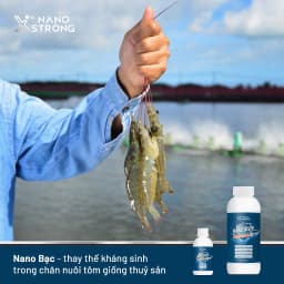 Thumbnail Nano bạc (nano silver) Nano Xstrong - xử lý nấm cho cá cảnh, làm trong nước bể cá, ao nuôi, khử mùi hôi tanh 1000ml 3