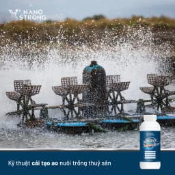Thumbnail Nano bạc (nano silver) Nano Xstrong - xử lý nấm cho cá cảnh, làm trong nước bể cá, ao nuôi, khử mùi hôi tanh 1000ml 4