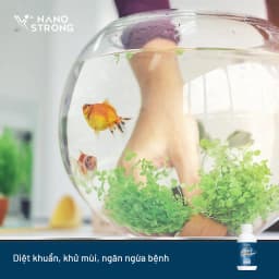 Thumbnail Nano bạc (nano silver) Nano Xstrong - xử lý nấm cho cá cảnh, làm trong nước bể cá, ao nuôi, khử mùi hôi tanh 100ml 2