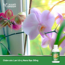 Thumbnail Nano bạc đồng Nano Xgreen cung cấp dưỡng chất, tăng đề khoáng, hỗ trợ cho cây có triệu chứng vàng lá, thối rễ 100ml 2