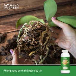 Thumbnail Nano bạc đồng Nano Xgreen cung cấp dưỡng chất, tăng đề khoáng, hỗ trợ cho cây có triệu chứng vàng lá, thối rễ 1000ml 2