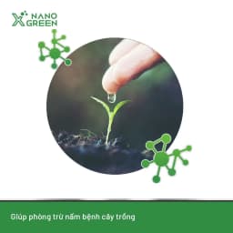 Thumbnail Nano bạc đồng Nano Xgreen cung cấp dưỡng chất, tăng đề khoáng, hỗ trợ cho cây có triệu chứng vàng lá, thối rễ 1000ml 3