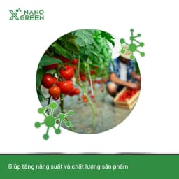 Thumbnail Nano bạc đồng Nano Xgreen cung cấp dưỡng chất, tăng đề khoáng, hỗ trợ cho cây có triệu chứng vàng lá, thối rễ 1000ml 4