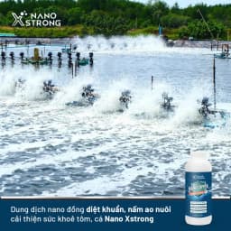 Thumbnail Nano đồng (nano copper) Nano Xstrong xử lý tảo, khử mùi nước, diệt khuẩn, nấm đồng tiền, giúp tôm lột xác 1000ML 2