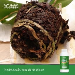 Thumbnail Nano đồng Nano Xgreen cung cấp vi lượng, bổ sung dưỡng chất phục hồi cây, chống giá rét 100ml 3