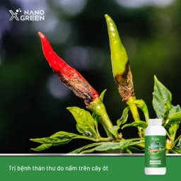 Thumbnail Nano đồng Nano Xgreen cung cấp vi lượng, bổ sung dưỡng chất phục hồi cây, chống giá rét 500ml 3