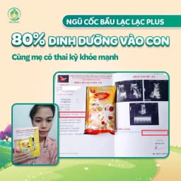 Thumbnail Ngũ cốc bầu Lạc Lạc plus DR.MAYA hộp 30 gói/600gram 3