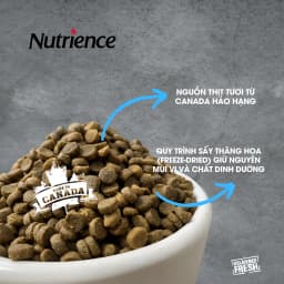 Thumbnail Nutrience Infusion Cá Biển cho Mèo trưởng thành - Cá biển, dầu cá hồi và rau củ quả tự nhiên 2.27kg 4