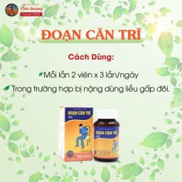 Thumbnail Đoạn Căn Trĩ VĨNH QUANG hộp 60 viên - Hỗ trợ giảm trĩ nội, trĩ ngoại, đại tiện chảy máu do trĩ 2