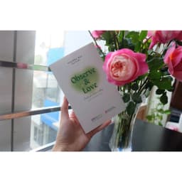 Thumbnail Observe and love Tình yêu luôn ở đây phiên bản đặc biệt Phương Bùi 1