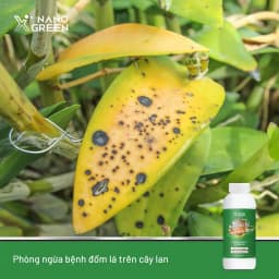 Thumbnail Phân bón nano bạc Nano Xgreen cung cấp dưỡng chất, tăng đề khoáng, hỗ trợ cho cây có triệu chứng vàng lá, thối rễ 500ml 4
