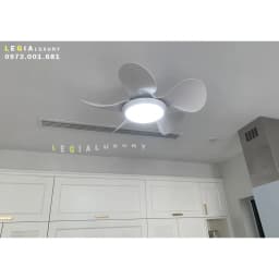 Thumbnail Quạt Trần Mini Gió Mạnh LÊ GIA LGFAN731T - Chiều Cao 25cm - Sải Cánh 74cm - Bảo Hành 5 Năm 4