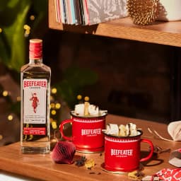 Thumbnail Rượu Gin Beefeater London Dry Gin Nồng Độ Alc 40% 700ml Không Kèm Hộp 4