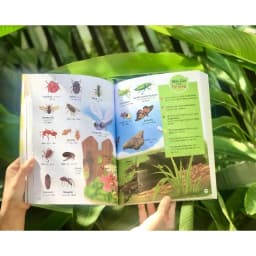Thumbnail Sách - 4000 từ vựng và mẫu câu tiếng Anh thiết yếu cho trẻ em 3