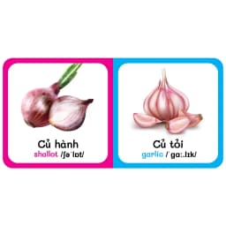 Thumbnail Sách - Baby'S First Picture Dictionary - Từ Điển Bằng Hình Đầu Tiên Của Bé - Rau Củ - Vegetable (Bìa Cứng) 1