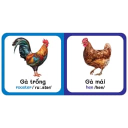 Thumbnail Sách - Baby'S First Picture Dictionary -Từ Điển Bằng Hình Đầu Tiên Của Bé - Động vật Nuôi - Farm AniMals (Bìa Cứng) (VT) 3