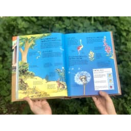 Thumbnail SÁCH - Bách khoa tri thức dành cho trẻ em (Usbone) bìa cứng 3