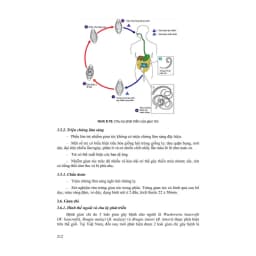 Thumbnail Sách - Bải giảng nhi khoa 2025 (Tập 1 + Tập 2) 4