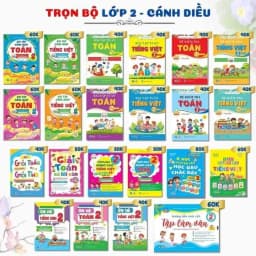 Thumbnail Sách - Bài tập hàng ngày, Bài tập tuần, Đề Kiểm Tra Toán và Tiếng Việt Lớp 2 - Học Kì 1,2 - Cánh Diều (Lẻ Tuỳ chọn) 1