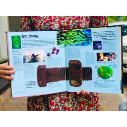 Thumbnail Sách Bảng tuần hoàn hóa học Tổng hợp kiến thức hóa học lớp 8 đến lớp 12 Bìa cứng - Á Châu Books 2