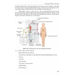 Thumbnail Sách - Bệnh học Nội khoa (Tập 1 + Tập 2) 4