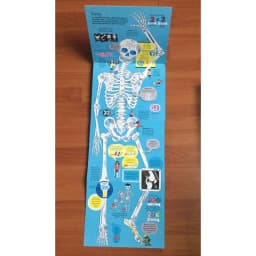 Thumbnail Sách big book -  Khổng Lồ - bộ 15 cuốn 3