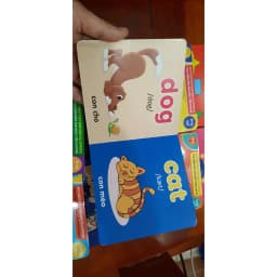 Thumbnail Sách - Bộ hộp thư viện hình ảnh đầu tiên cho bé (song ngữ anh việt ) 2