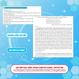 Thumbnail Sách - Chinh phục 8+ luyện thi vào lớp 10 môn Ngữ Văn theo chủ đề - mới 2025 2