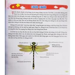 Thumbnail Sách cho bé - Bách Khoa Động Vật Dành Cho Trẻ Nhỏ - Côn Trùng 2